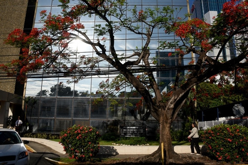 Vụ rò rỉ "Hồ sơ Panama": Công ty Mossack Fonseca dọa có hành động pháp lý đối với ICIJ