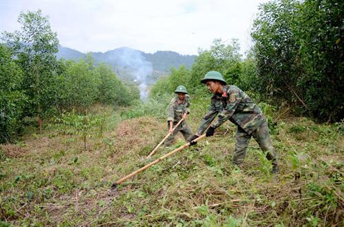 Bộ đội Đắk Nông trồng rừng phủ xanh đất trống đồi trọc