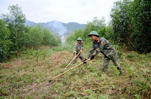 Bộ đội Đắk Nông trồng rừng phủ xanh đất trống đồi trọc