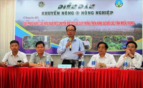 Chuyển đổi cơ cấu cây trồng vùng gò đồi miền Trung