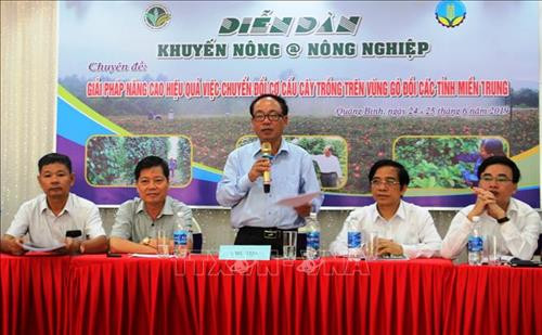 Chuyển đổi cơ cấu cây trồng vùng gò đồi miền Trung