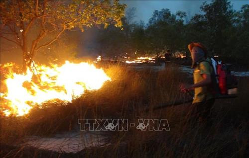 Cháy hơn 15 ha rừng phòng hộ ven biển Quảng Bình