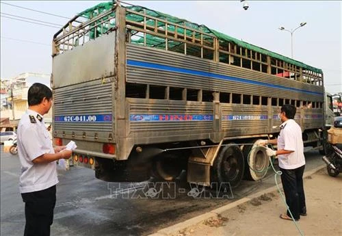 Ban Bí thư ban hành Chỉ thị về thực hiện hiệu quả công tác phòng, chống, khống chế bệnh dịch tả lợn châu Phi