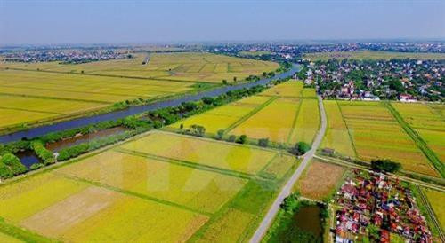 Hà Nội khó khăn cấp giấy chứng nhận quyền sử dụng đất sau dồn điền đổi thửa
