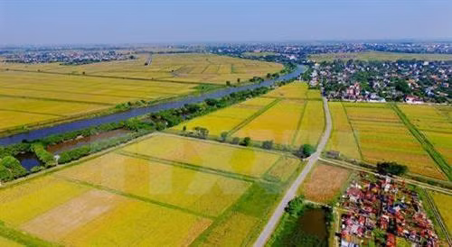 Hà Nội khó khăn cấp giấy chứng nhận quyền sử dụng đất sau dồn điền đổi thửa