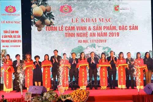 Khai mạc “Tuần lễ cam Vinh và sản phẩm, đặc sản Nghệ An 2019" tại Hà Nội