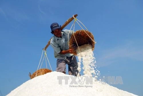 Mua tạm trữ muối để diêm dân bớt gánh nặng