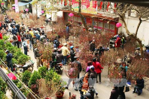 Chợ hoa Tết phố Hàng Lược