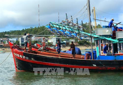Phê duyệt kế hoạch thực hiện khắc phục cảnh báo của EU về IUU