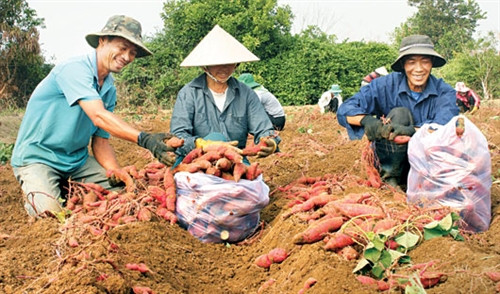 Tỏa sáng tinh thần thi đua yêu nước