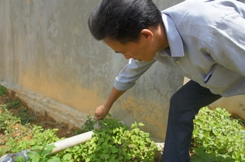 Những người “vác tù và hàng tổng”
