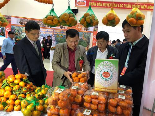 Công bố nhãn hiệu tập thể "Quýt Nam Sơn - Tân Lạc"