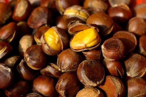 Hạt dẻ - vua của loài quả khô phòng nhiều bệnh