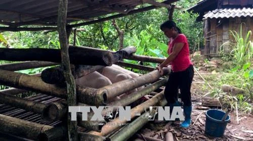 Xã vùng cao Đồng Sơn vươn lên thoát nghèo