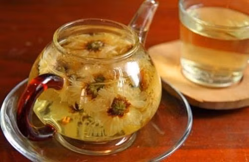 Hoa cúc chống oxy hóa, kháng khuẩn