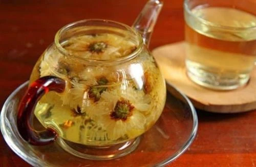 Hoa cúc chống oxy hóa, kháng khuẩn