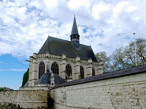 Champigny -sur-Veude - Hoa diên vĩ tinh khôi