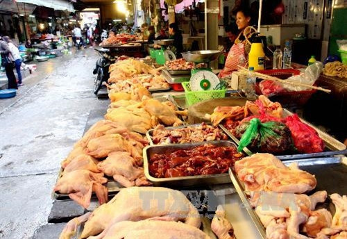 Giá thực phẩm, rau xanh “giảm nhiệt”