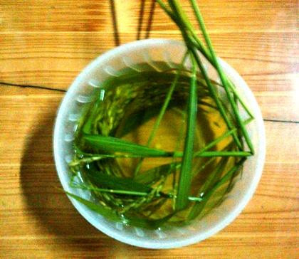 Tết ăn cơm mới của người Tày, Nùng ở Cao Bằng