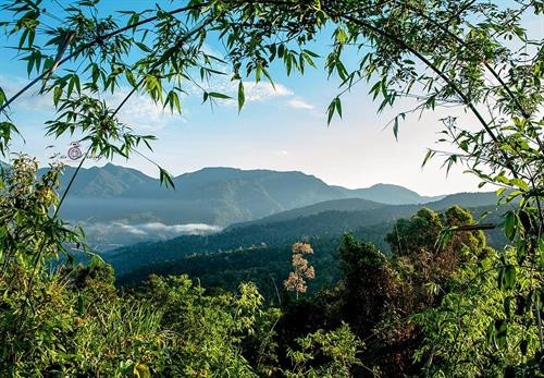 Độc đáo "văn hóa kiêng cử, giữ rừng" của người Cơ tu ở Tây Giang