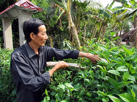 Thay đổi cảnh quan môi trường từ ý thức tự giác của người dân
