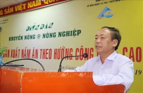 Chia sẻ kinh nghiệm sản xuất nấm theo hướng công nghệ cao