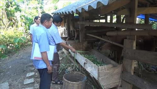Bí thư chi bộ Mè Văn Sách nêu gương sáng cùng dân phát triển bản Huổi Púa