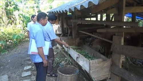Bí thư chi bộ Mè Văn Sách nêu gương sáng cùng dân phát triển bản Huổi Púa