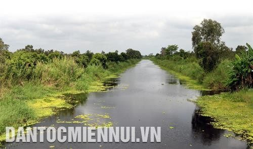 Vườn Quốc gia U Minh Thượng chủ động phòng chống cháy rừng
