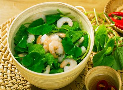 Rau má và những công dụng quý không phải ai cũng biết
