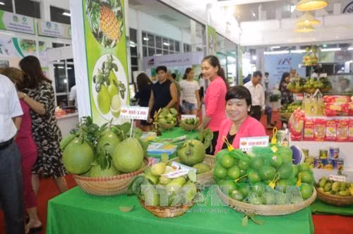 Cần Thơ khai mạc hội chợ nông sản sạch và an toàn năm 2017