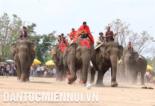 Lễ hội voi Tây Nguyên