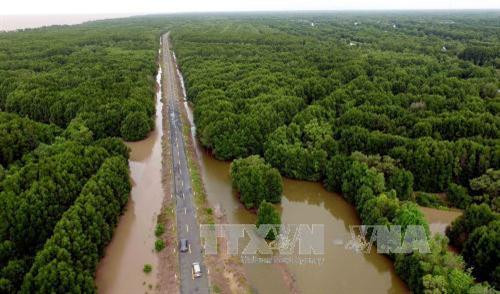 Đất Mũi – Xã cực Nam của Tổ quốc