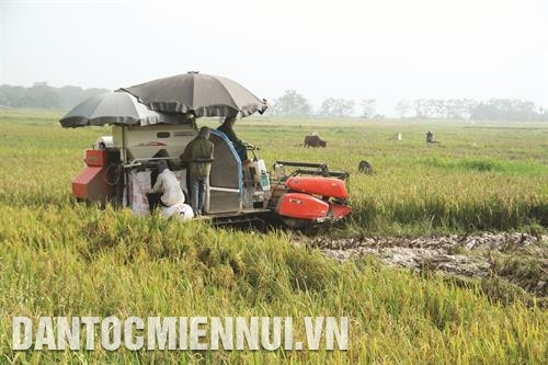 Xây dựng Phúc Thọ thành vùng đô thị sinh thái của Thủ đô