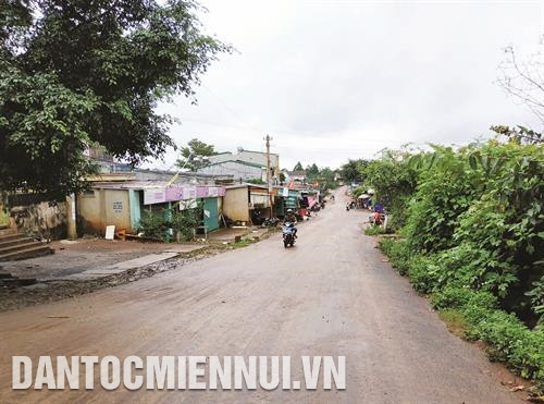 Cư Pơng mùa hoa nở