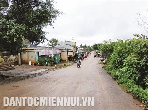 Cư Pơng mùa hoa nở