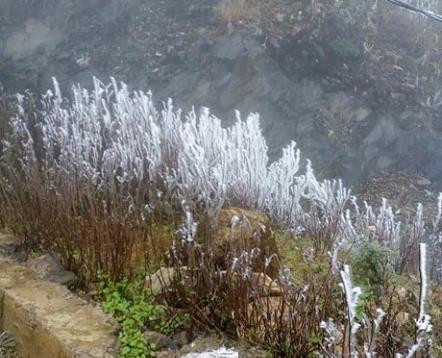 Vùng cao Mù Cang Chải căng mình chống rét