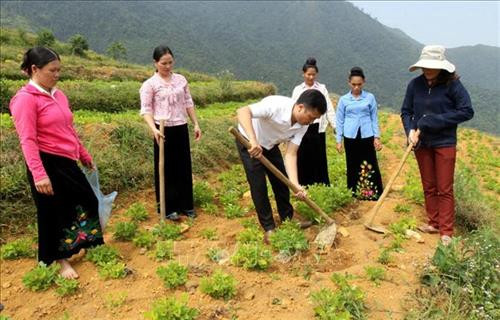 Lai Châu khuyến khích liên kết sản xuất, tiêu thụ nông sản