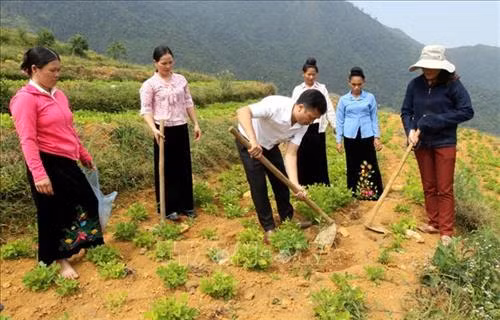 Lai Châu khuyến khích liên kết sản xuất, tiêu thụ nông sản