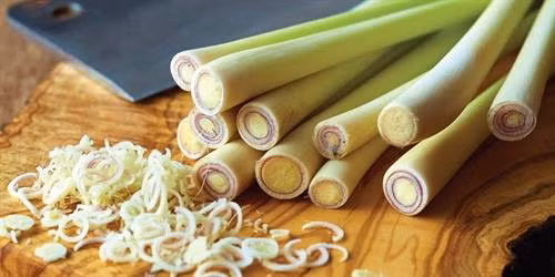 Công dụng bất ngờ của cây sả 