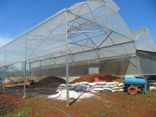Bốn sào đất cho thu 300 triệu đồng/năm nhờ trồng dưa lưới