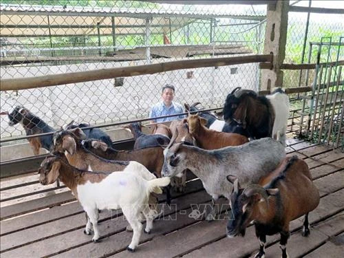 Thái Nguyên đầu tư hơn 1.160 tỷ đồng xây dựng nông thôn mới