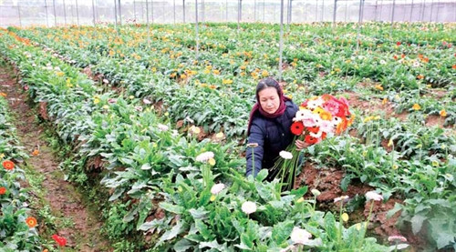 Chương Mỹ - điểm sáng phía Tây nam Thủ đô