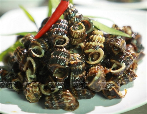 Đậm đà ốc len xào sữa