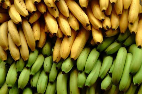 Tác dụng khi ăn hai quả chuối mỗi ngày