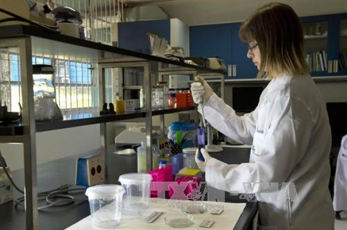 Thêm nhiều ca nhiễm virus Zika tại Mỹ