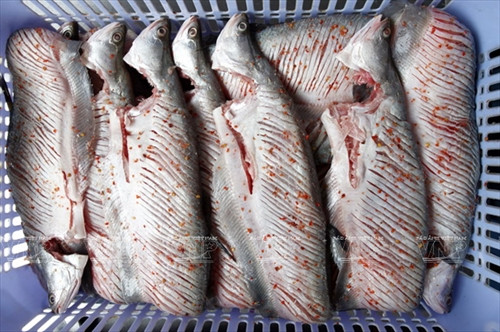 Cá thát lát tẩm gia vị