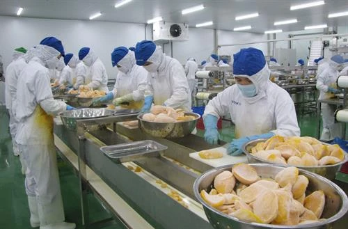Long An: Bảo vệ môi trường trong các khu, cụm công nghiệp còn nhiều bất cập