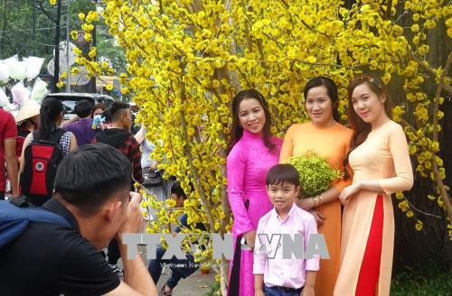 Thành phố Hồ Chí Minh: Phong phú các hoạt động vui đón Xuân Mậu Tuất 2018