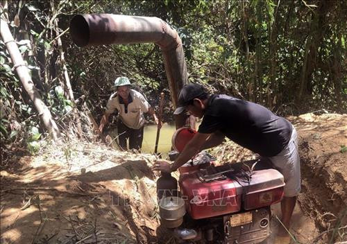 Nghệ An khẩn cấp chống hạn và xâm nhập mặn